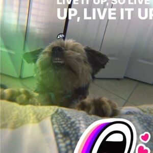 Unlisted items for shows